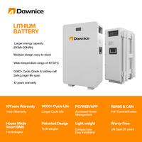 Dawnice 5kwh 10kwh 15kwh 20kwh wall mounted lithium ion batteries